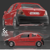 Evolution Peugeot 205 à 207